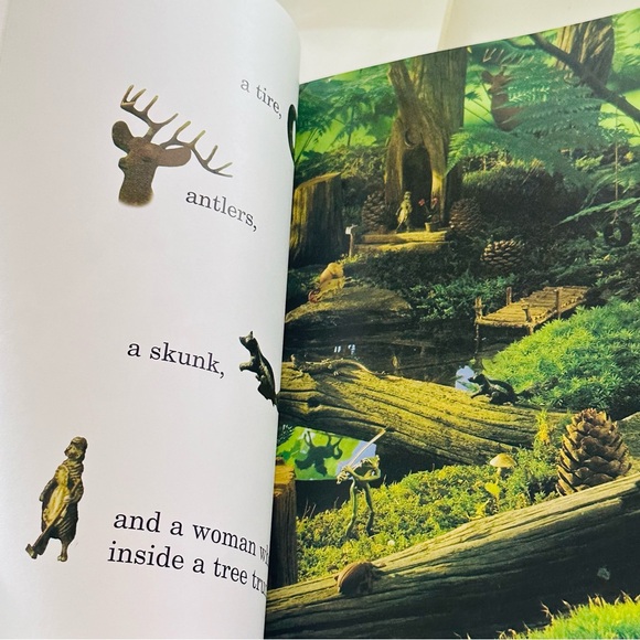 Level 1 Reader I Spy An Egg in a Nest Paperback Book - Picture 6 of 8